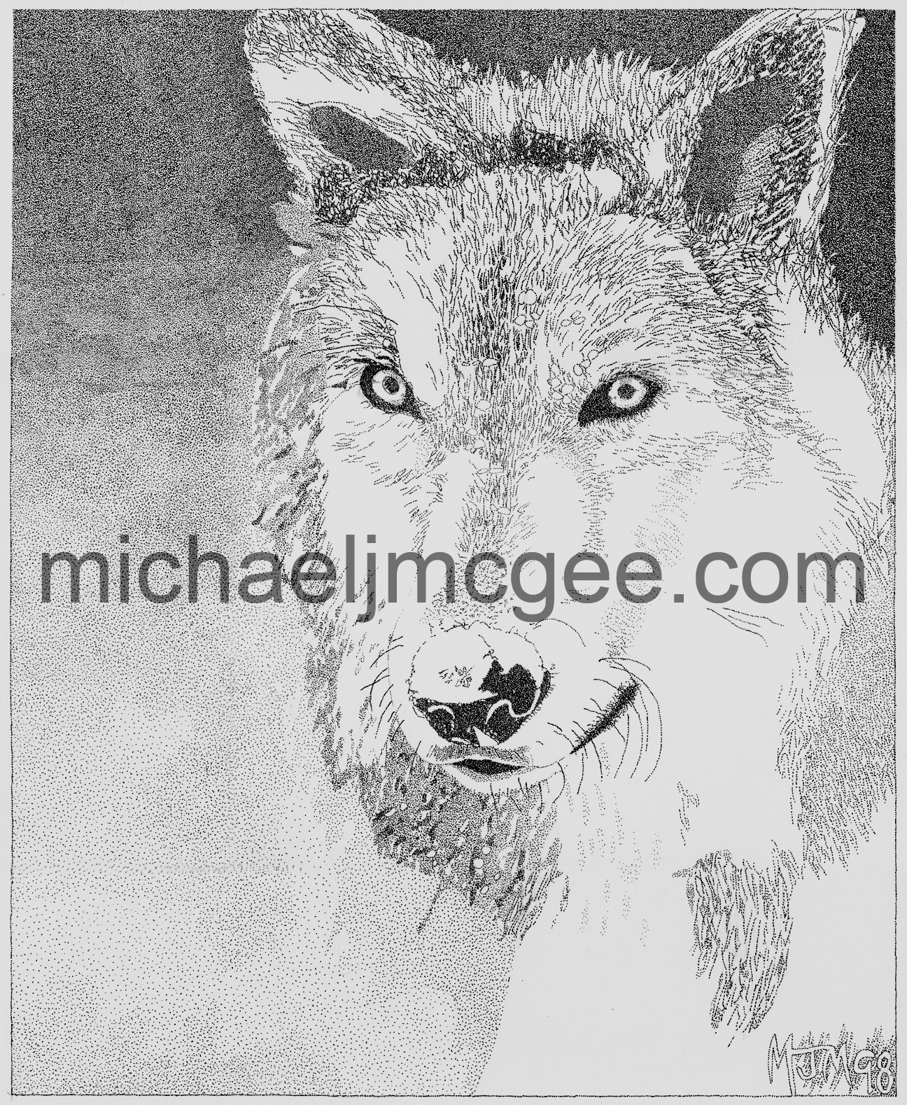 Wolfe/ michaeljmcgee.com